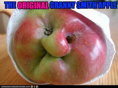 beerfairy / I can has Cheezburger.com