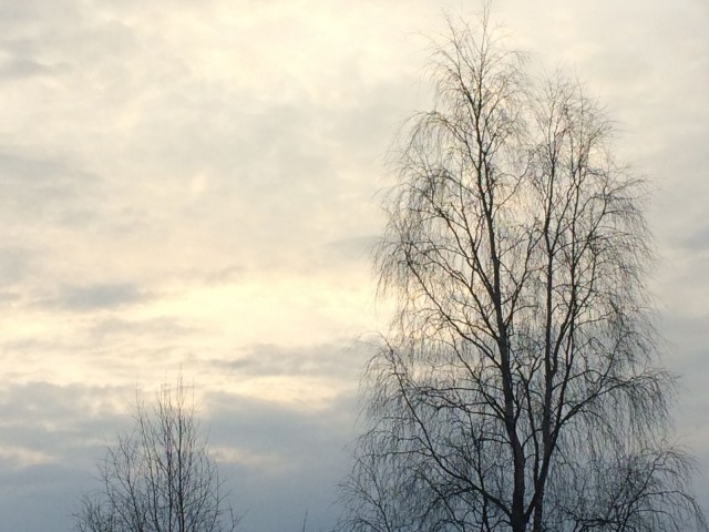 Mielenrauha. Kun kaikki asiat ovat omilla paikoillaan.