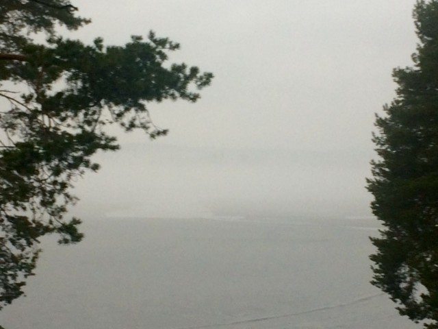 Ehkä joskus vielä meillä ymmärretään se ettei riippuvuus ole ihmisen oma valinta.