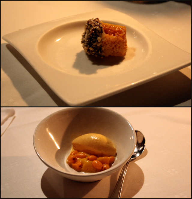 Katan yllätysmenun-yllätysjälkkärit. Hunajakenno, suklaata sekä paukkusokeria. / Marinoitua tyrniä, ruskeaa voita sekä tyrnijäätelöä.