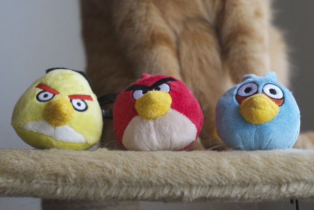 80% maailman leluista on tehty Kiinassa.