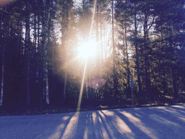 Luottamuksessa ei ole sijaa pelolle.