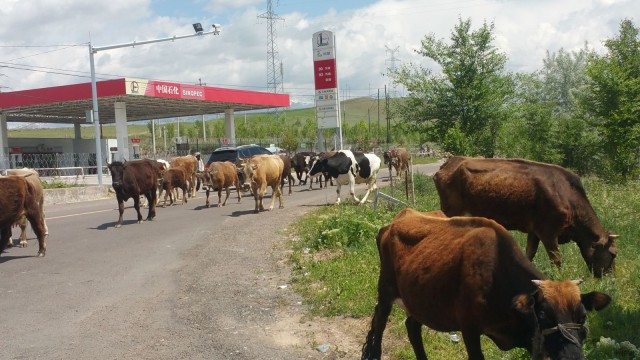 Tankkaamassa moottoripyörää Kiinassa. Liikenneruuhka.