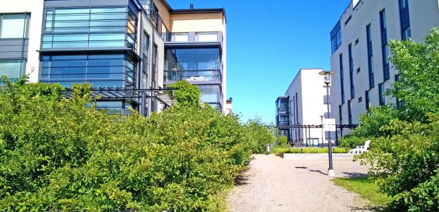 Kävelyllä Arabiassa