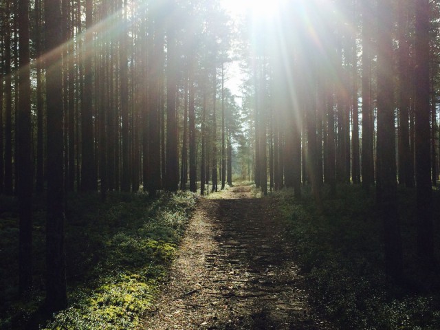 "Niin kauan on toivoa kuin on elämää."