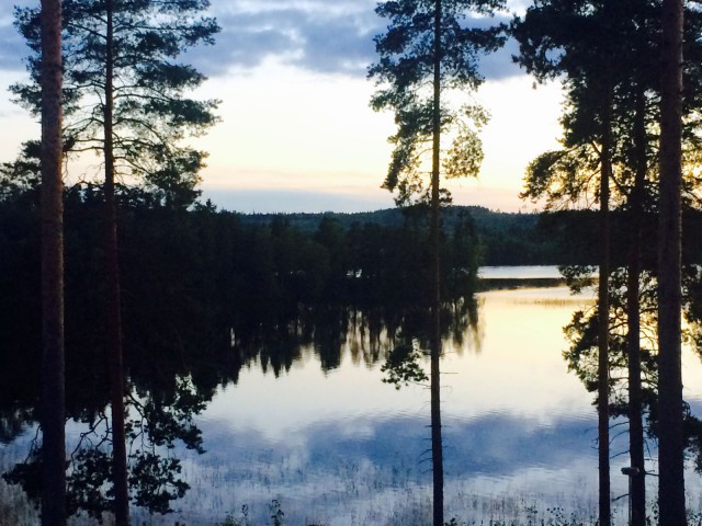 "Tyyneyttä hyväksyä. Rohkeutta muuttaa."