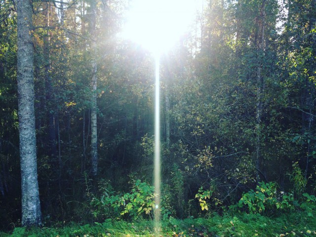 Jokainen uusi aamu on uusi mahdollisuus.