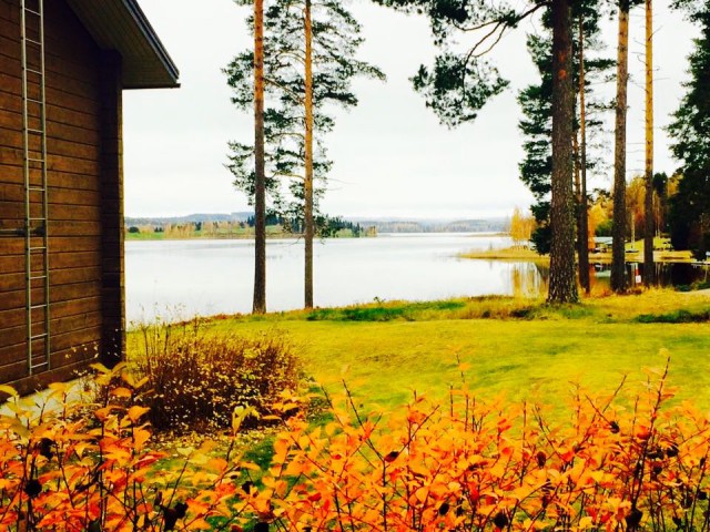 Pysähtyminen. Hetki vailla ajatusta.