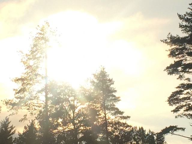 Mitä pidempi ja synkempi pimeys, sitä kirkkaampana näen tuon pimeyden jälkeen valon.