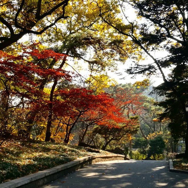 Syksy. Pyongyang. Pohjois-Korea.