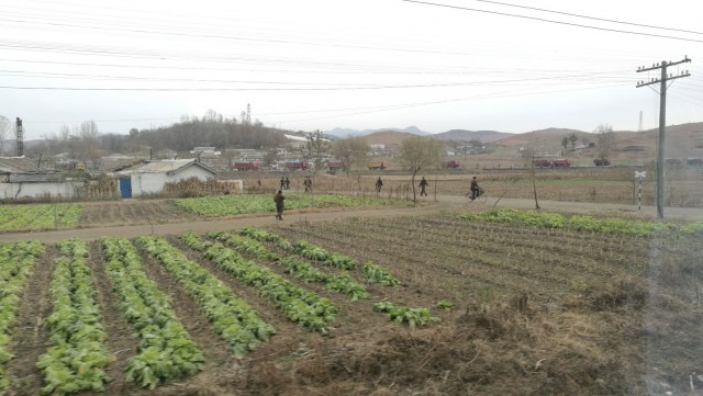 Käsityö, sirpin ja kuokan käsittely sekä pellon kyntäminen eläinvoimin on edelleen arvossaan.