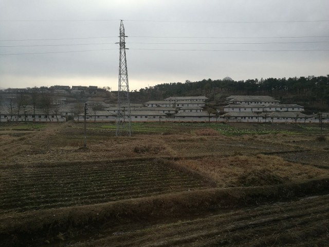 Pellot pidetään ojennuksessa käsi- ja eläinvoimin. Taustalla tyypillistä Pohjois-Korealaista arkkitehtuuria.