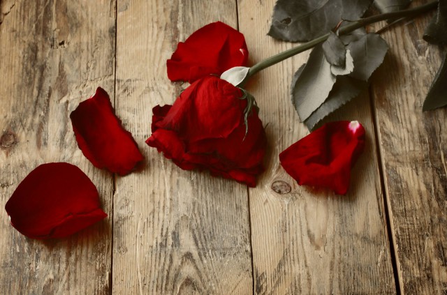 Kuva: Oksana Churakova / Fotolia