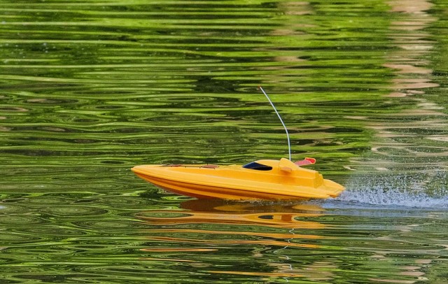 Kuva: nskyr2 / Fotolia