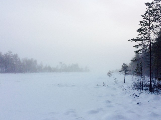 Täydellinen hiljaisuus on paikka, jossa todelliset tunteet saavat tilaa tulla esiin.