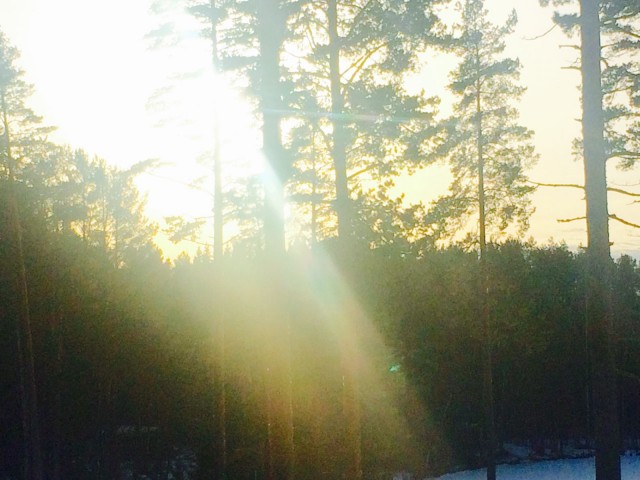 Luottamuksesta seuraa se ettei tule tehtyä hätiköityjä päätöksiä.