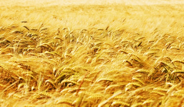 Kuva: by-studio / Fotolia