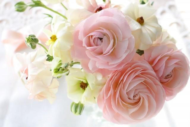 Kuva: nana77777/Fotolia