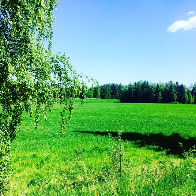 Jokaisessa päivässä on pieni palanen unelmaa.