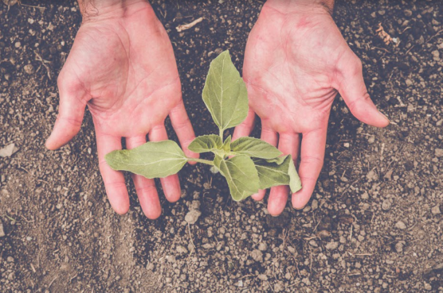 Kuva: iranzuarb / Fotolia