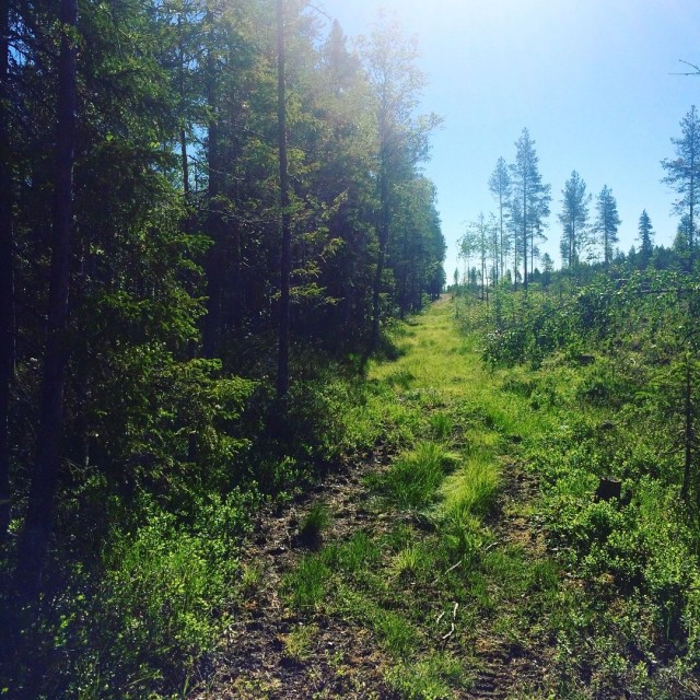 Kun sisimmässä on reikä, mikään mitä ammentaa sinne, ei siellä lopulta pysy.