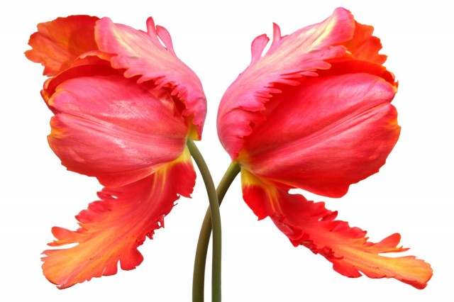 Kuva: PASQ / Fotolia