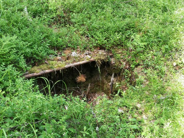 Ansaan tippuneesta jalopeurasta saatiin hyvää evästä.