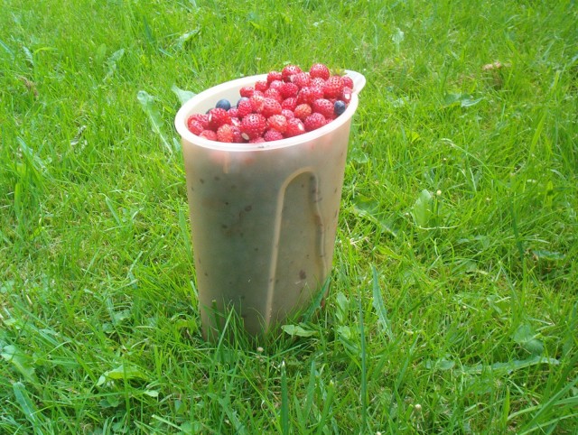 HöY/BöU:n sisäänpääsyrovetesti: mustikka vai mansikka?