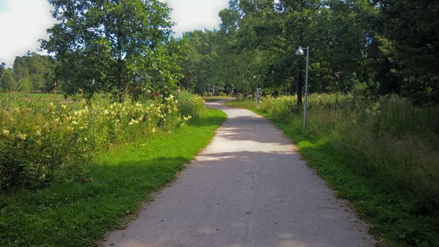 Luontoympäristössä on nautinnollista kävellä.