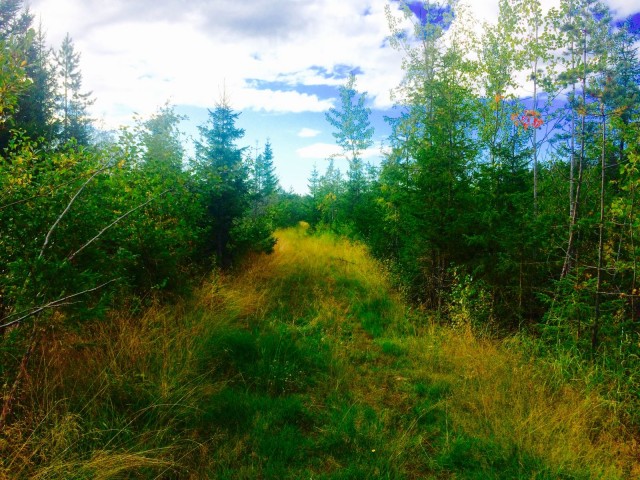 "Juokse villi lapsi, juokse kauemmaksi, jotta kasvat vahvemmaksi ja vapaammaksi. Juokse henkesi edestä.."