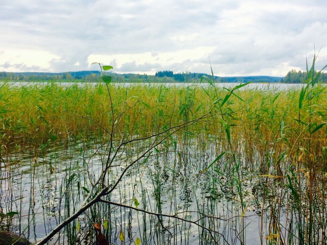 "Maailma on kaunis ja hyvä elää sille, jolla aikaa ja tilaa unelmille ja mielenvapaus ja mielenvapaus."