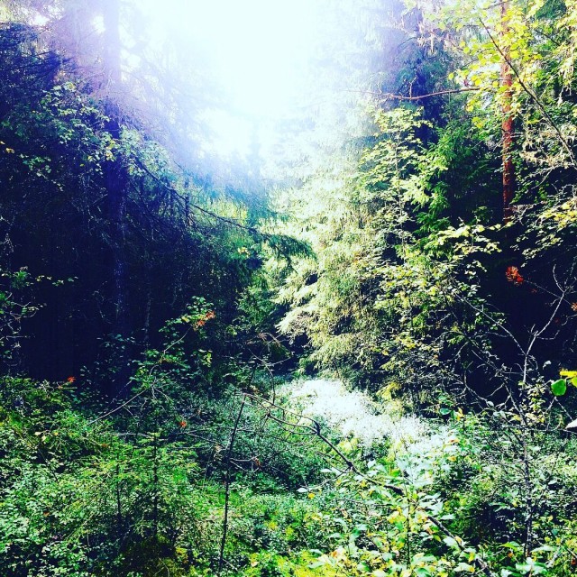 "Missä taivas on, missä Jumala on, kun laumat polkee paikallaan."