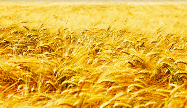 Kuva: by-studio/Fotolia