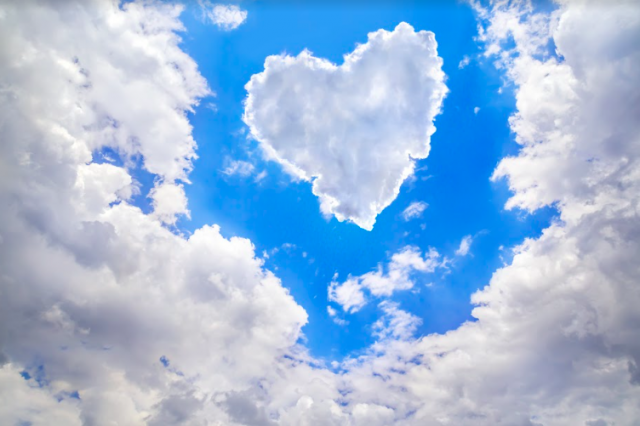 Kuva: nataliya_rodenko/Fotolia