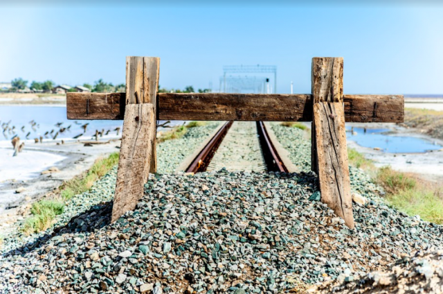 Kuva: sam73nz/Fotolia