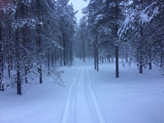 Hiljaisuus on tila, jossa sisimpäni saa tulla näkyväksi.