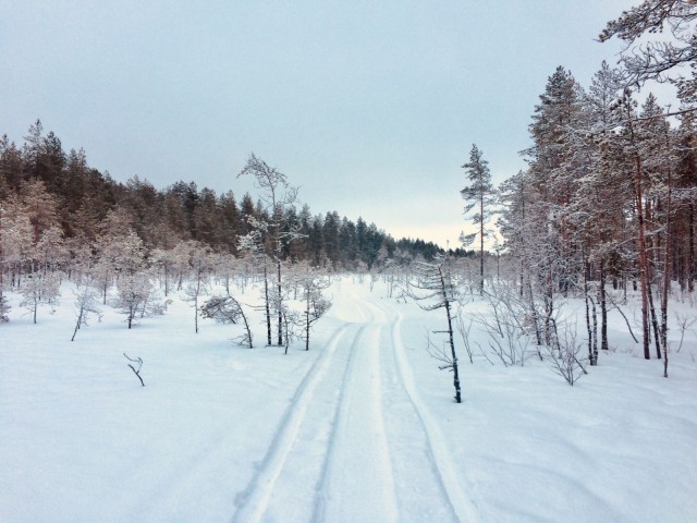 Katsoessani taaksepäin elämää, saatan huomata menneisyyteni vaikuttavan vielä nykyisyydessäkin.