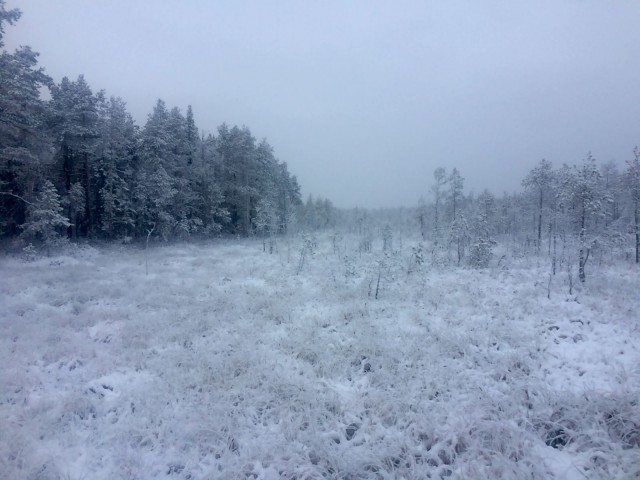Elämän kauneus kulminoituu kiitollisuudessa.