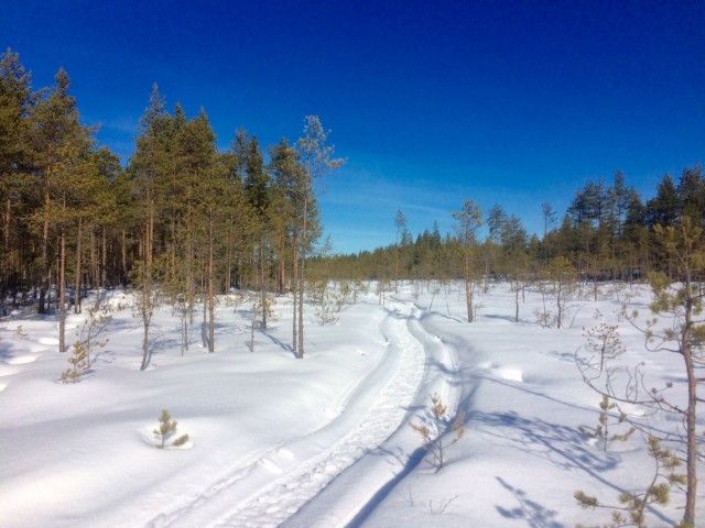 Elämässä kaikella on tarkoituksensa, miksei siis tunteillakin.