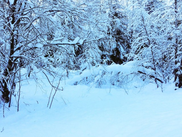 Umpikuja, uhka vai mahdollisuus?