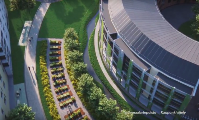 Kaupunkiviljelyä tullaan harrastamaan Kuninkaantammessa.