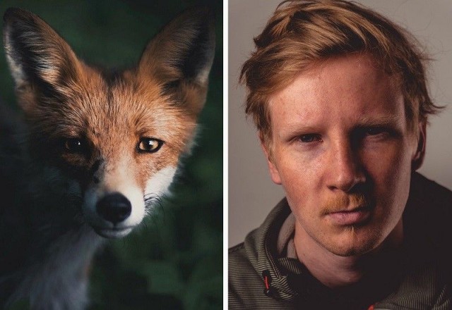 Konsta Punkka miettii tarkkaan, miten saisi tallennettua ketun katseen.