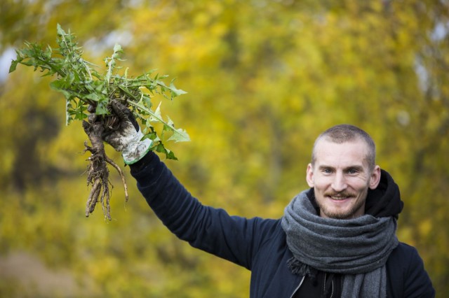 Voikukka on yksi Ossi Palonevan suosikkiraaka-aineista ja sitä maistellaan myös villiruokaillallisilla Väinö Kalliossa.