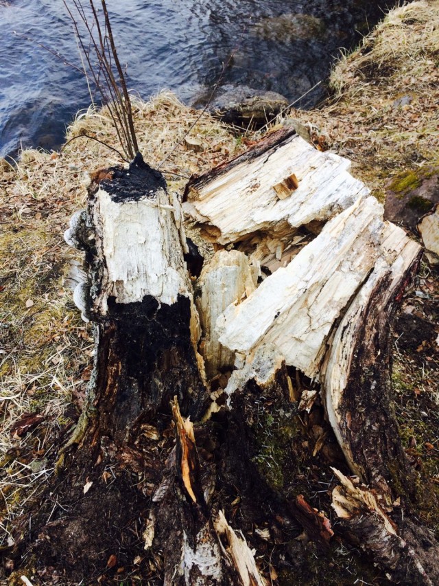 Kun vanhat, haitalliset ajatus- ja toimintamallit murtuu, jotain uutta hyödyllistä pääsee syntymään.