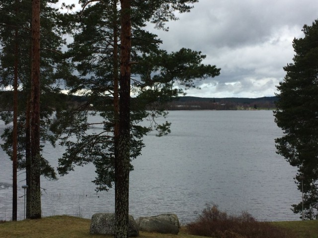 Oletko huomannut luonnon kiirehtivän nopeuttaa kevään tuloa?