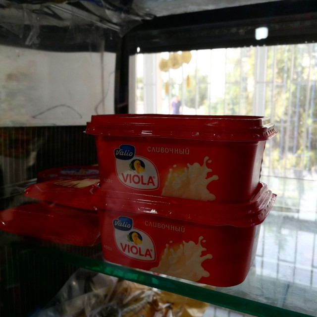 Yllättävä kohtaaminen Turkmenistanissa. Valion Viola voita.