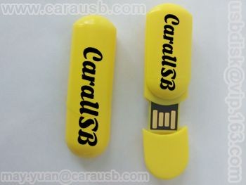 http://www.carausb.com/product/Plastic_USB_Drive/plastic-Book-clip-USB-Memory-Drives-16Gb.html