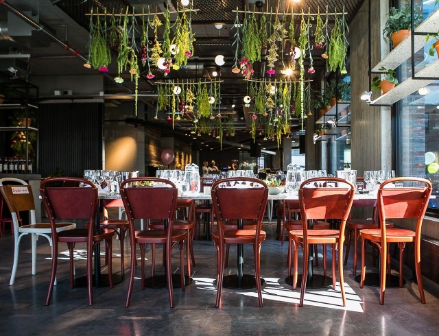 Wonderland näyttää kiinnostavalta.