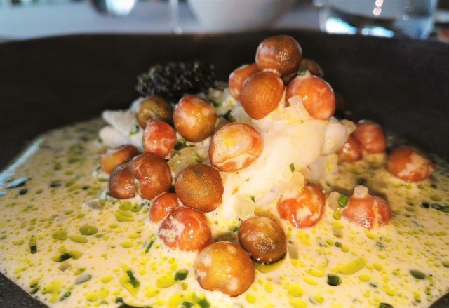 Kalasuoran päättänyt meriantura