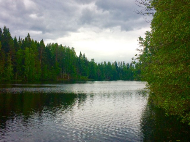 Kiitollisuus kasvattaa kärsivällisyyttä.